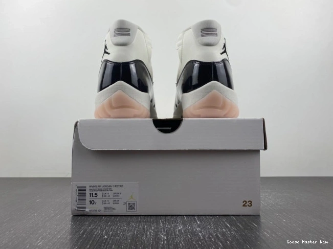 AR0715-101 Air Neapolitan 11 Jordan 0627